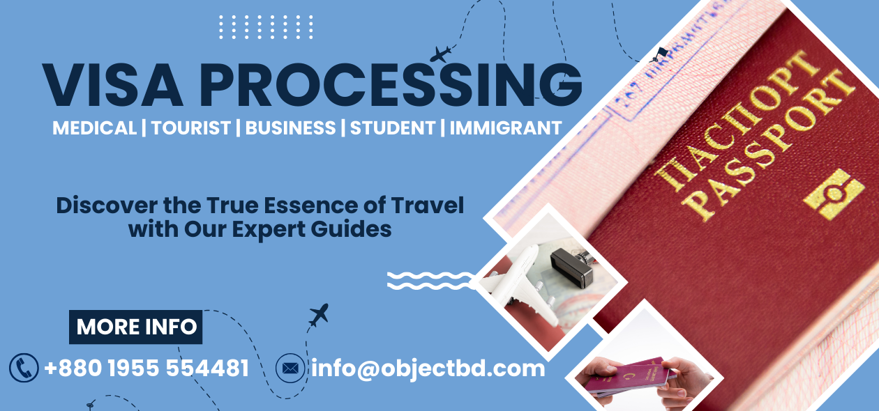 Visa Processing